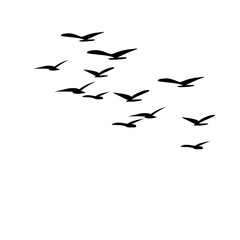 Flock of Flying Birds Silhouette Vector Set for Tattoos and Nature Art