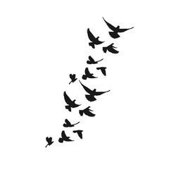 Flock of Flying Birds Silhouette Vector Set for Tattoos and Nature Art