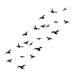 Flock of Flying Birds Silhouette Vector Set for Tattoos and Nature Art