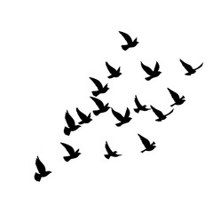 Flock of Flying Birds Silhouette Vector Set for Tattoos and Nature Art