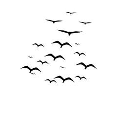 Flock of Flying Birds Silhouette Vector Set for Tattoos and Nature Art