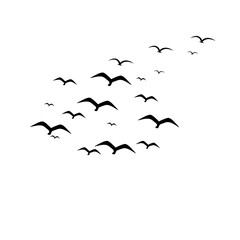Flock of Flying Birds Silhouette Vector Set for Tattoos and Nature Art