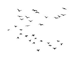 Flock of Flying Birds Silhouette Vector Set for Tattoos and Nature Art