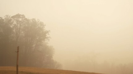 Hazy Landscape: An atmospheric landscape shrouded in a warm, ethereal haze, with silhouettes of trees and a subtle foreground, creating a sense of mystery and depth.