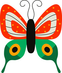 Colorful Butterfly with Patterned Wings