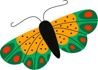 Colorful Butterfly with Patterned Wings