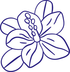 Tropical Flower Sketch