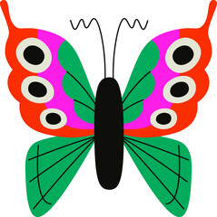 Colorful Butterfly with Patterned Wings