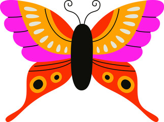 Colorful Butterfly with Patterns