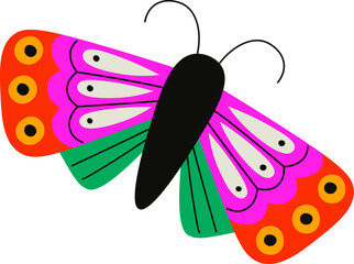 Colorful Butterfly with Patterned Wings