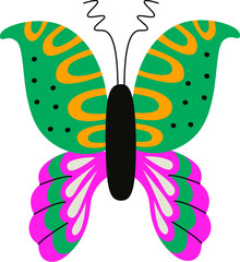 Colorful Butterfly with Patterned Wings