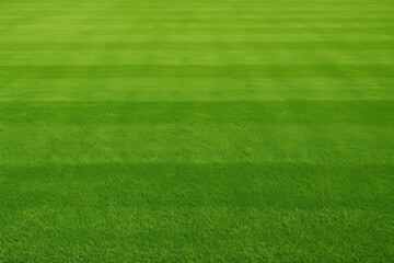 Lush green grass field in perfect condition