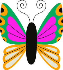 Colorful Butterfly with Patterned Wings