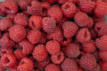Fresh Organic Raspberries Close-Up. Natural Red Berries Background.
