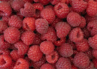 Fresh Organic Raspberries Close-Up. Natural Red Berries Background.