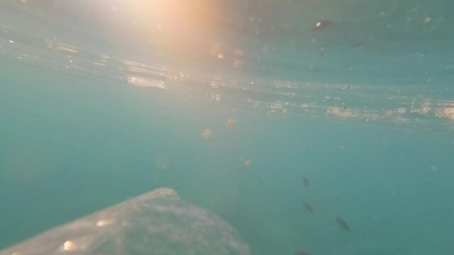 microplastics and plastic waste in the sea and ocean