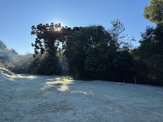 paisagem com geada frio pela manhã 