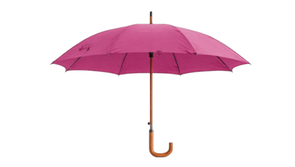 A vibrant pink umbrella with a wooden handle, closed, shown against a black background.  The umbrella features dark accents along the seams and a curved handle