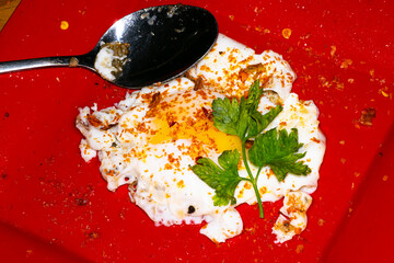Fried egg and parsley on a red tray