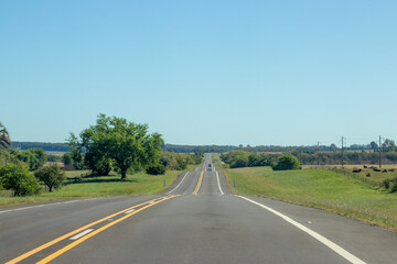Carretera, árboles, señales y horizonte.