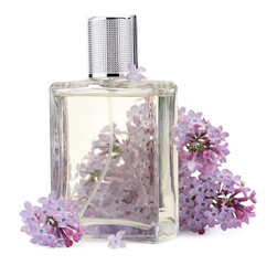 Luxury perfume and beautiful lilac flowers isolated on white