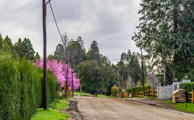 Villa Traful, Neuquen, Andean Patagonia, Argentina.