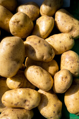 Raw potatoes displayed at an outdoor farm market