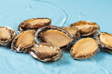fresh raw abalones in water.