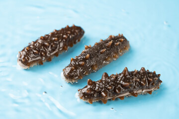 Raw sea cucumber trepang in water.
