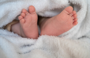 newborn baby feet in blanket