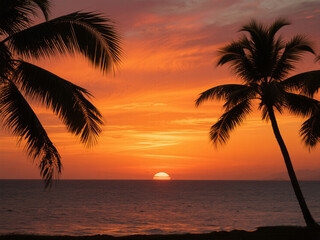 Tropical Beach Sunset with Palm Trees and Vibrant Orange Sky