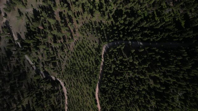 Top down aerial of dirt roads in Bitterroot Mountain range in Montana in summer