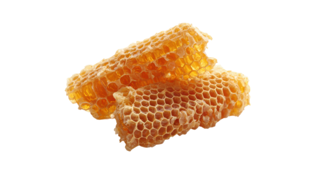 Two pieces of natural honeycomb filled with golden honey isolated on transparent background