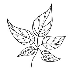 Isolated doodle style branch and leaves. Floral hand drawn outline editable stroke vector design element on white background