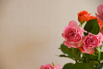 ピンクとオレンジのばら