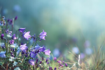 Obraz premium A serene meadow filled with delicate purple flowers swaying gently in the breeze under a soft blue sky