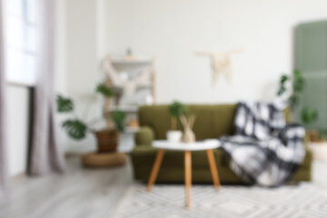 Blurred view of living room with sofa and houseplants near white wall