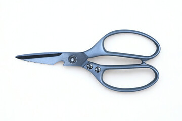 Meat scissors on white background