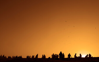 Silhouette back rear view of group happy people friends team sitting together on sunset sky evening time for business success and teamwork concept in company. Kalemegdan fortress. sunrays bokeh