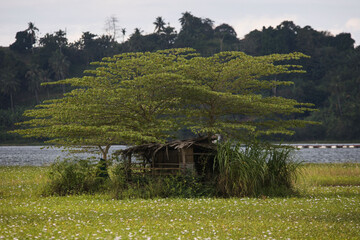 simple fisherman's hut by a mountain lake under a large tree in the cool shade