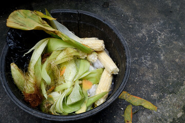 photo of green corn husk waste