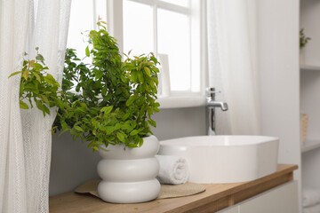Interior of bathroom with green branches near sink