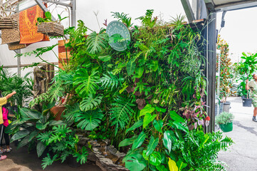 Where there is greenery, there is life and serenity, Nashville, Tennessee, United States of America