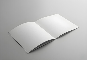 Blank brochure mockup with open pages on a gray background.