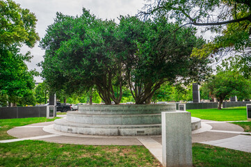 In the shade of a park tree, the world slows and peace arrives, Nashville, Tennessee, United States of America