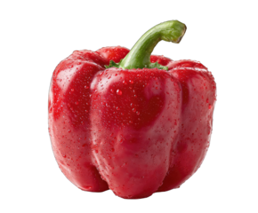 A vibrant, glistening red bell pepper, plump and dewy, sits against a black background; its stem is a deep green