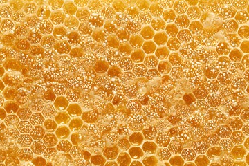 Honeycomb texture background, golden honey in honeycomb cells. Close-up view of honey in honeycomb