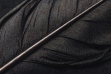 Close-up view of a single dark feather, showing intricate details and texture.