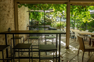Charming outdoor café seating area under lush grapevine canopy, with dappled sunlight. A tranquil open-air courtyard for relaxed dining, coffee, or wine tasting in a natural and cozy atmosphere.