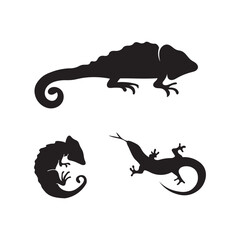 Lizard vector gecko icon logo